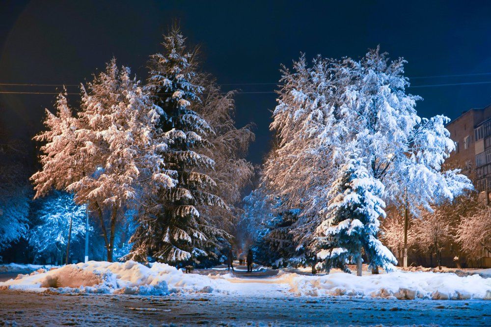 Photograph by Владимир Парадный