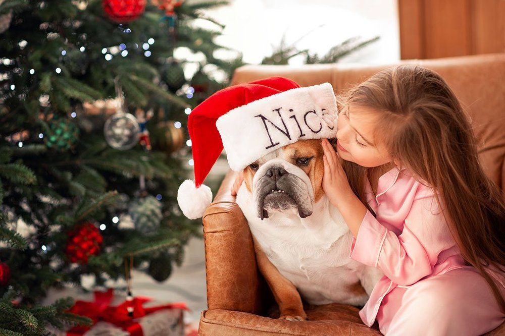 Верный друг