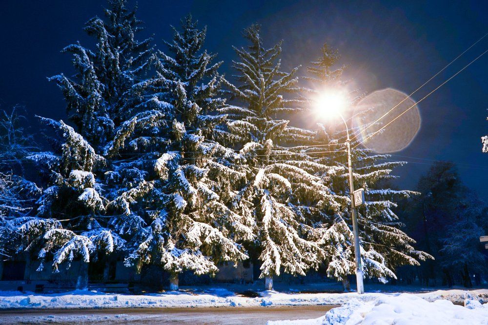 Photograph by Владимир Парадный