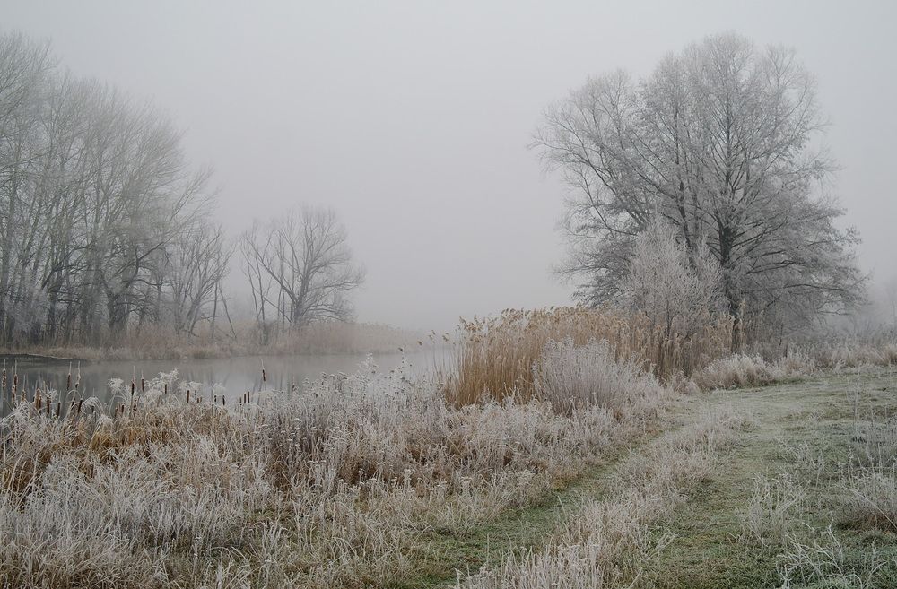 Photograph by Евгений Кулик