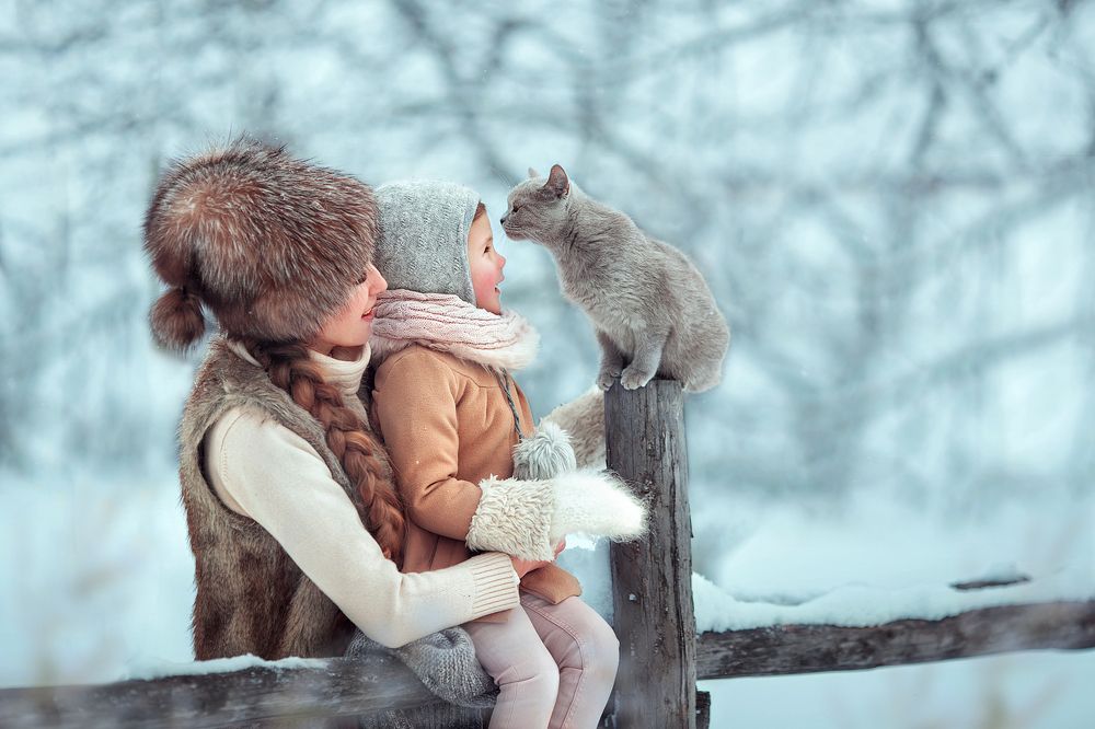 Зимняя история