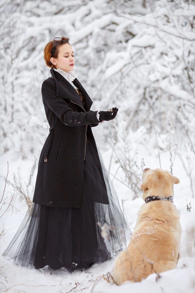 В поисках Нового года