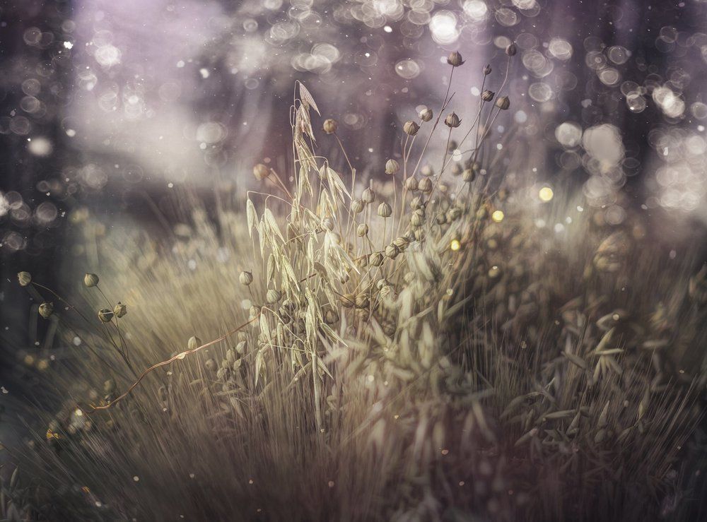 Photograph by Ekaterina Fadeeva