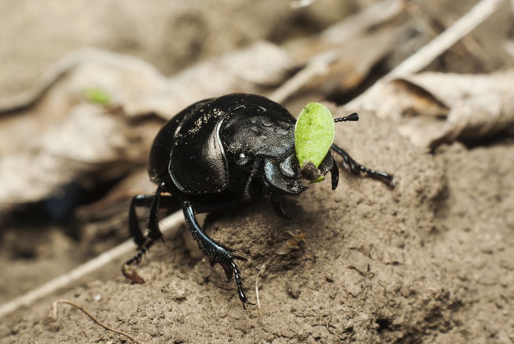 Photograph by Игорь Мальцев
