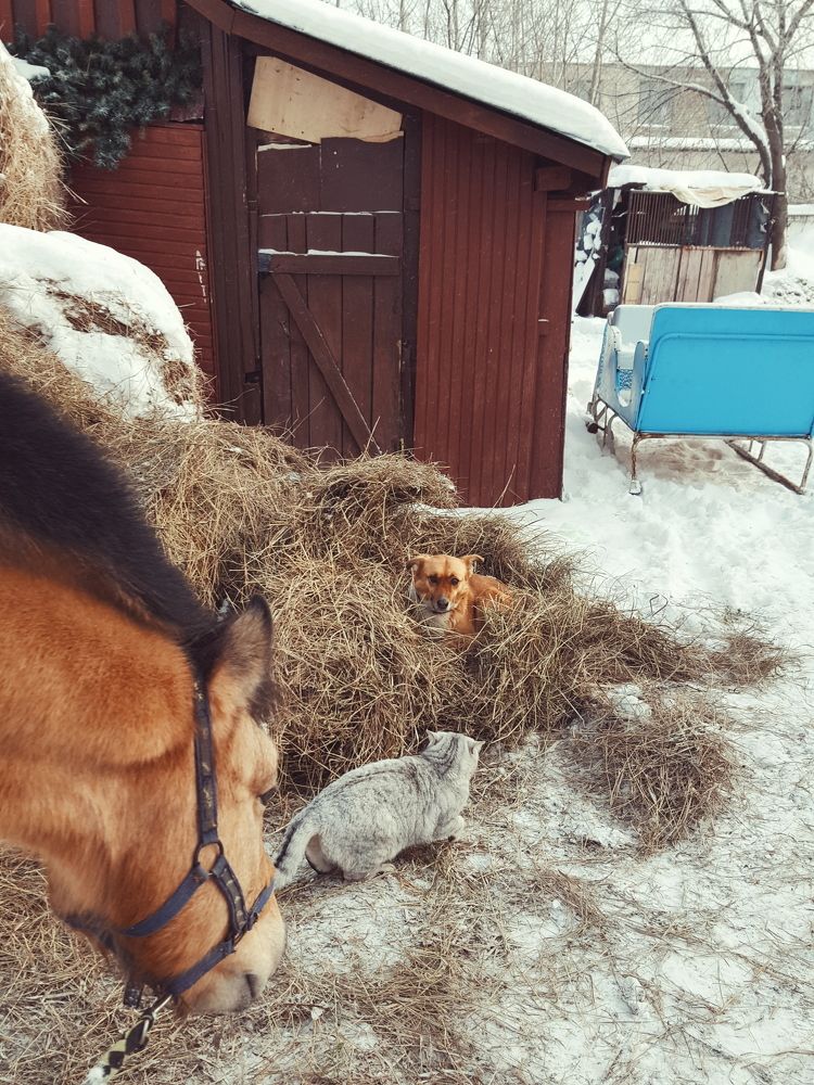 Photograph by Вероника Федорова