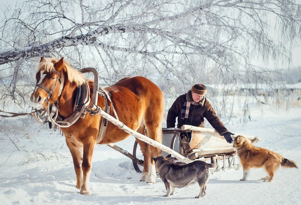 На прогулку