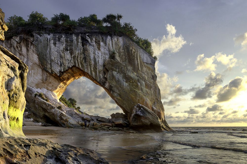 A Horse Drinking Sea Water