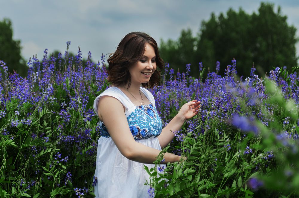 Полевые цветы