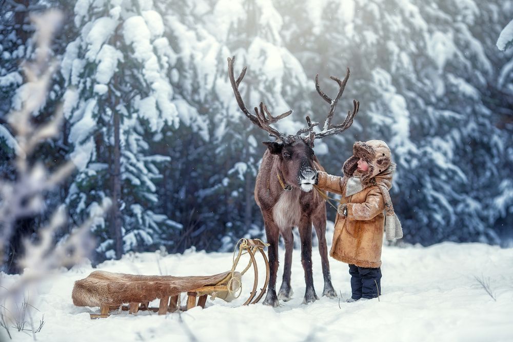 Лесная сказка