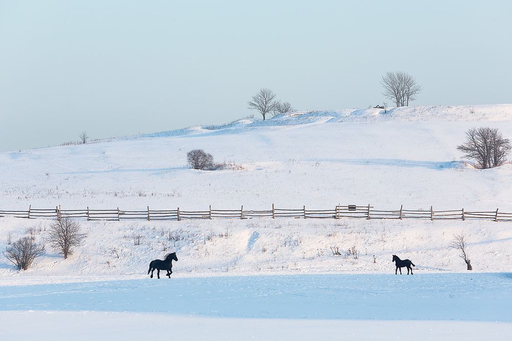 С мамой на прогулке.