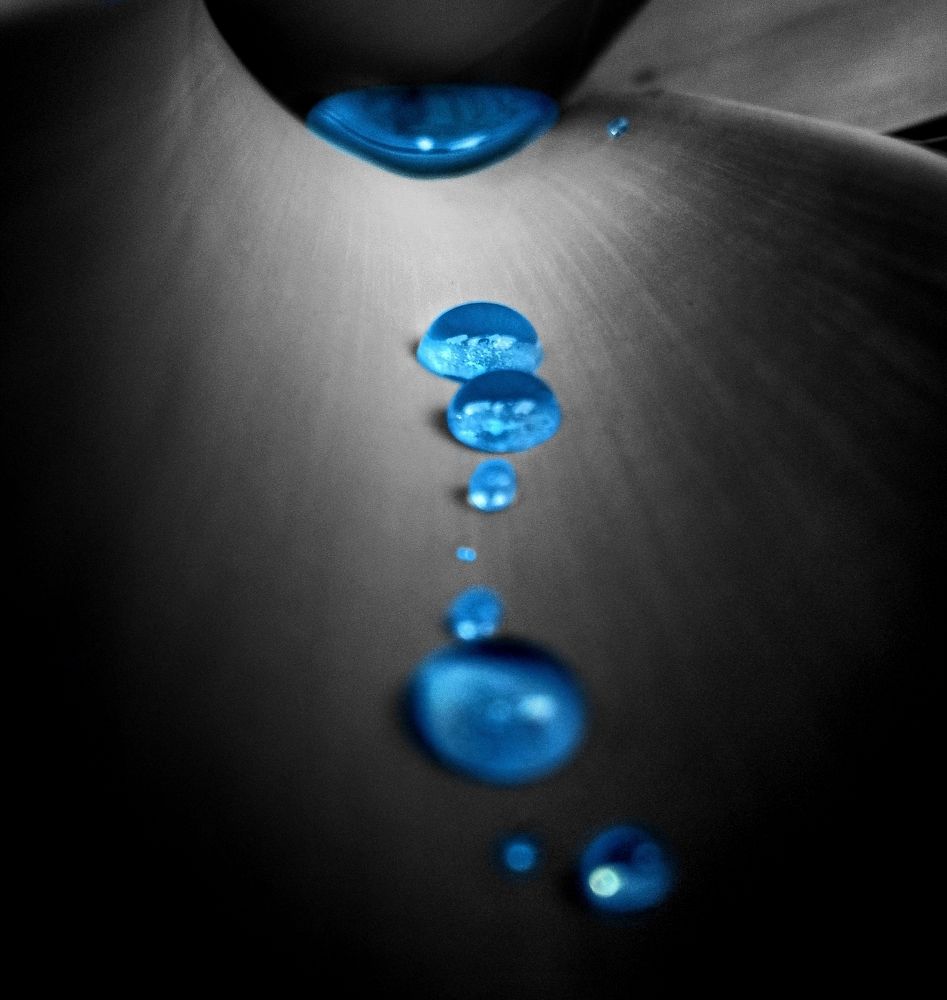 Rain Drop