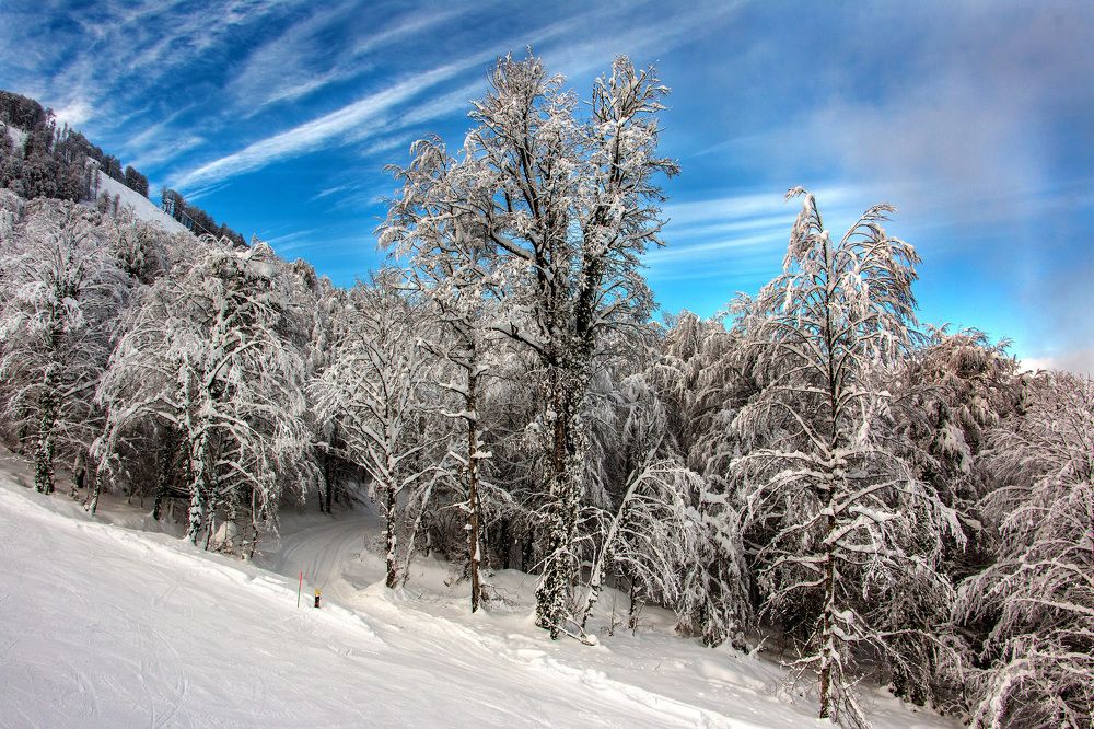 Горки Город.