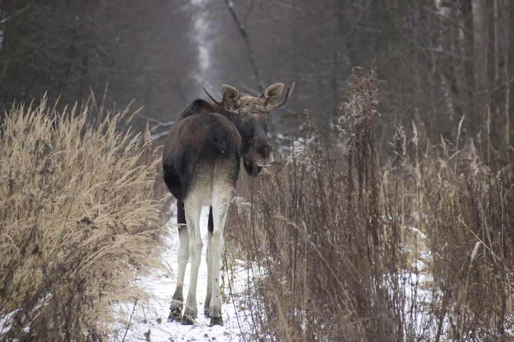 Photograph by Наталья