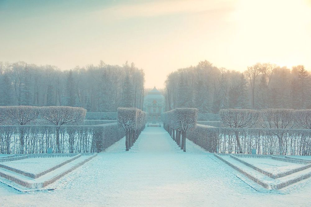 Photograph by Старикова Светлана