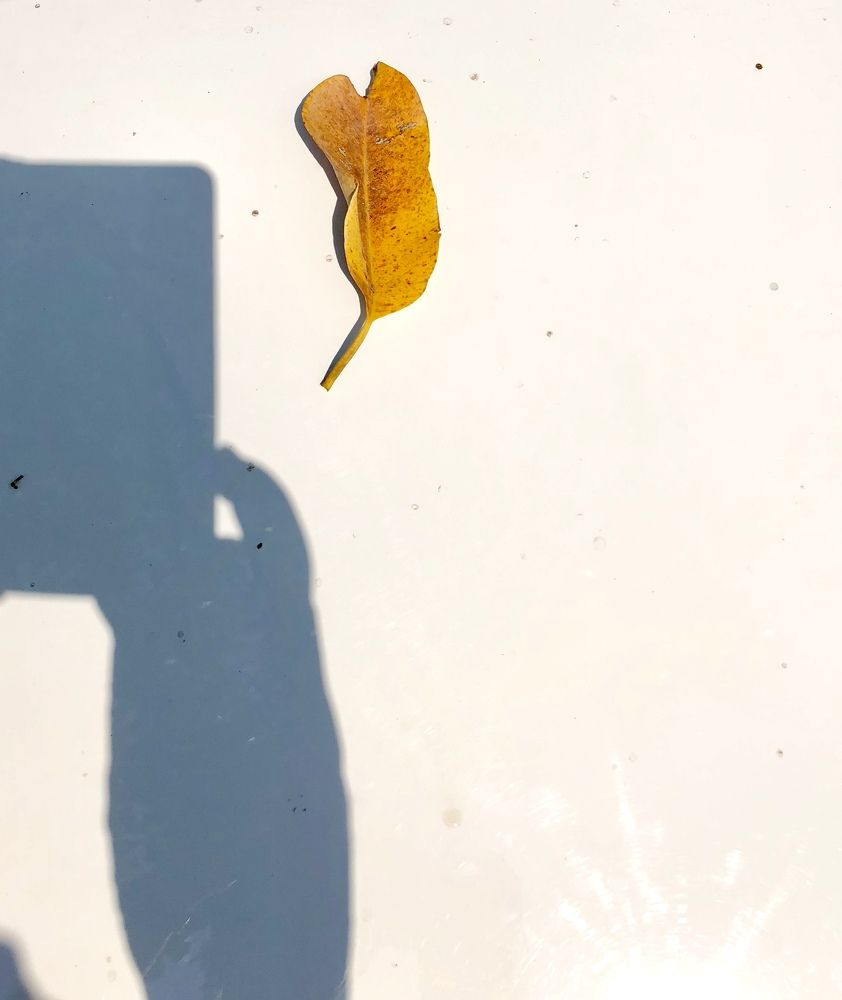 Shadow of Photographing