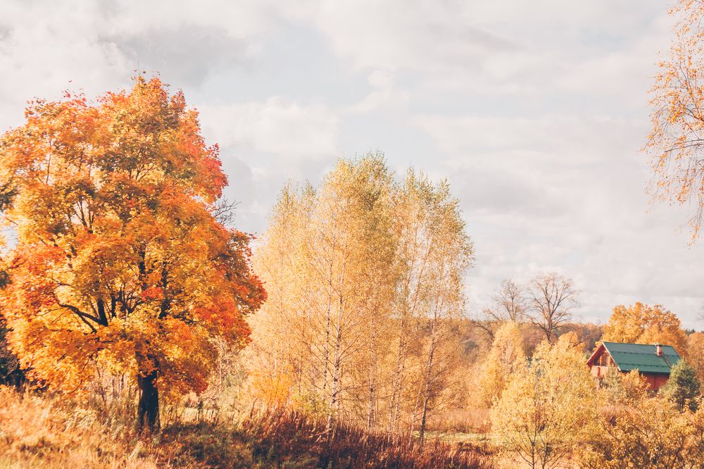 Осень в деревне