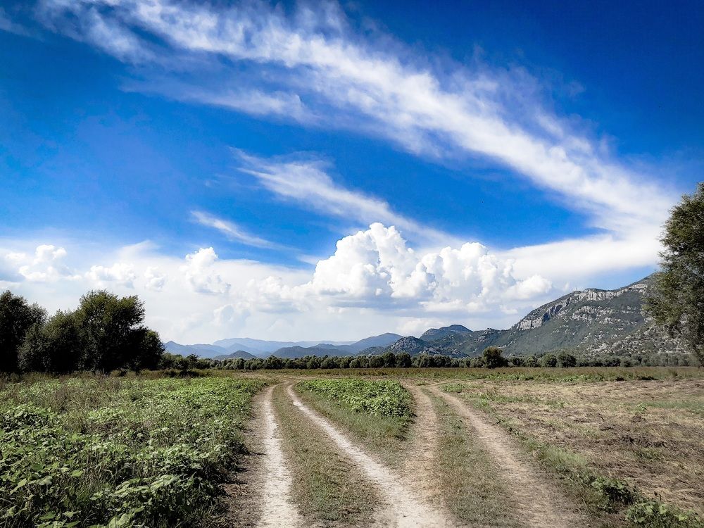 Symmetry of opportunities