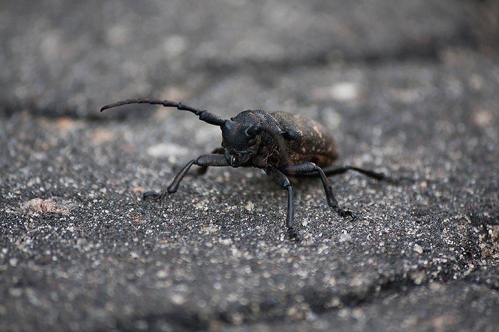 Photograph by Мария Сычёва