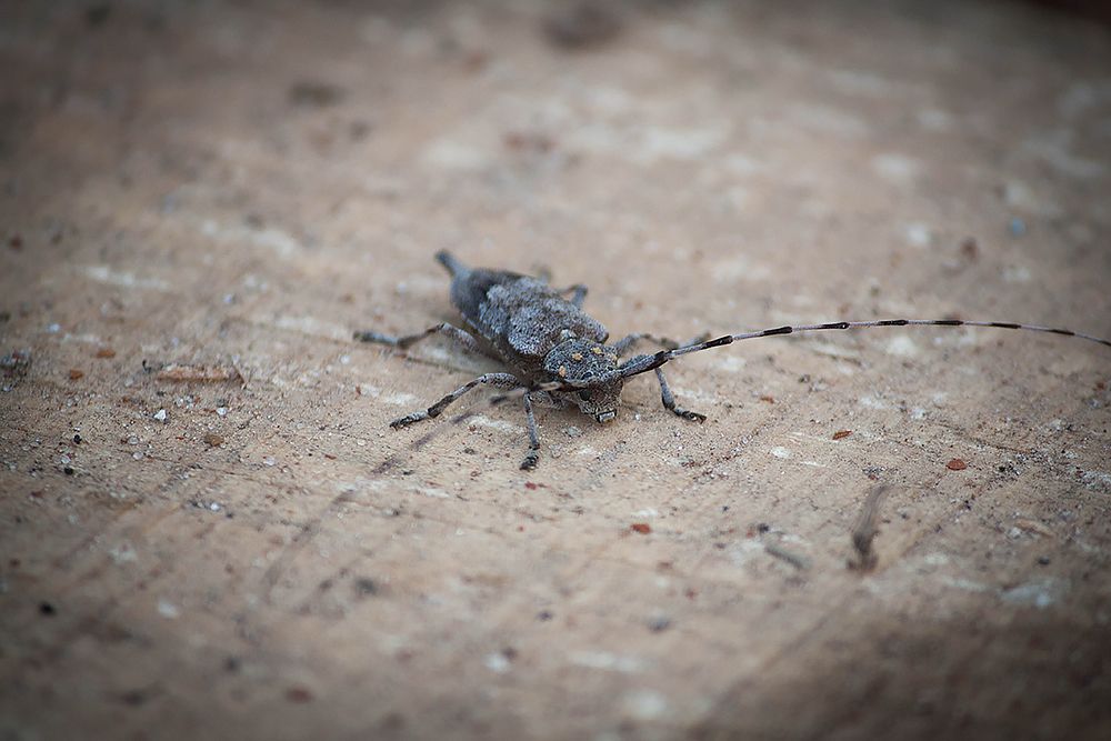 Photograph by Мария Сычёва