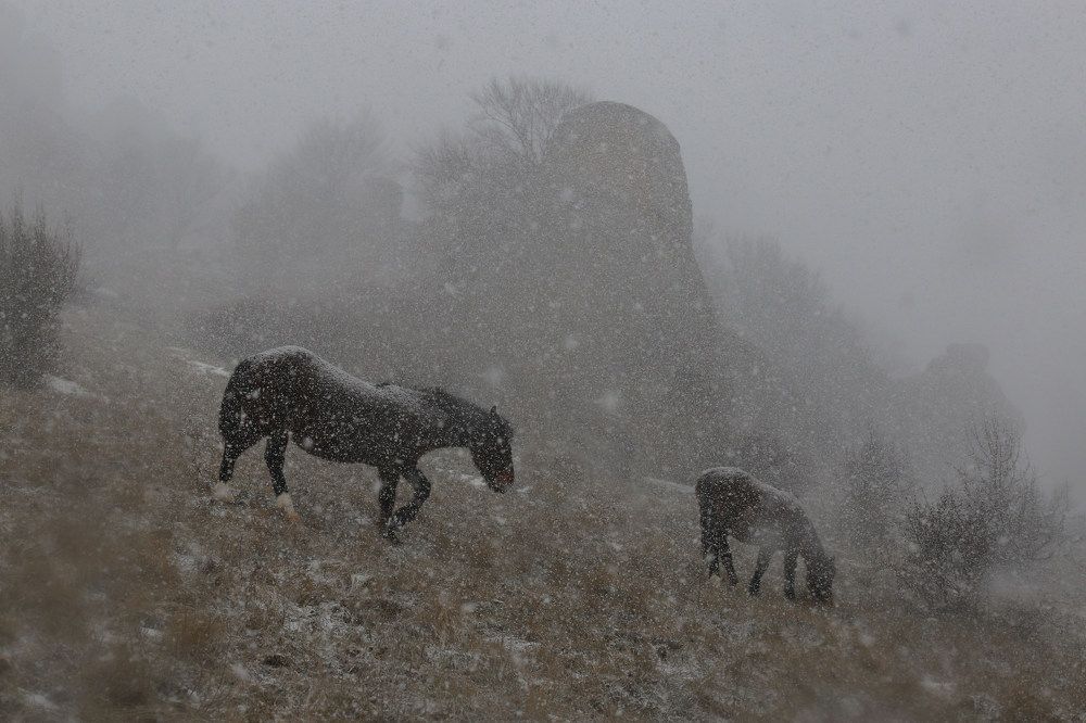 Снегопад на Демерджи