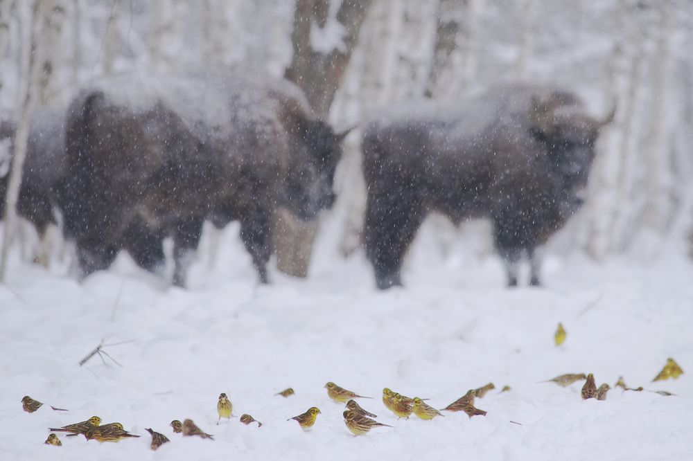 Маленькие и большие.