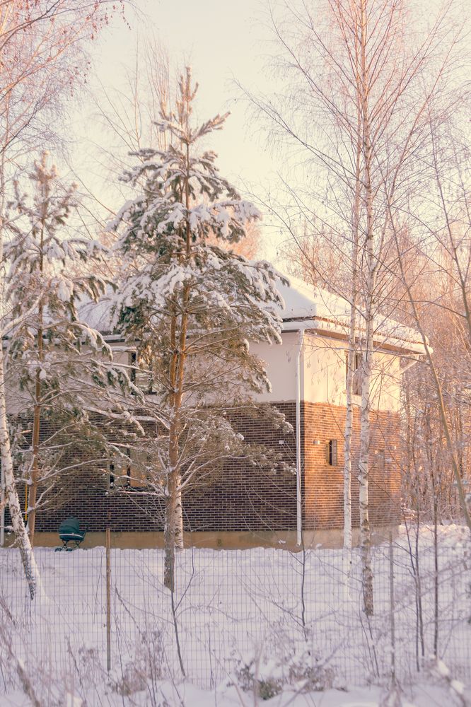 Snowy Landscape The Countryside
