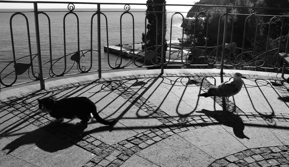 Разные пути