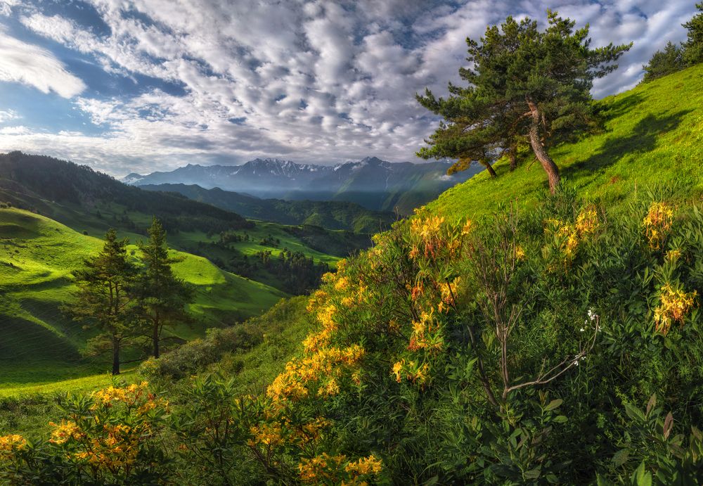 Заповедная Ингушетия.