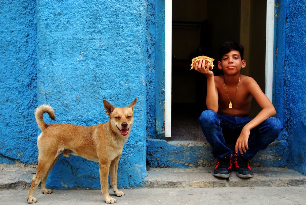 Cuban boy with stray dog