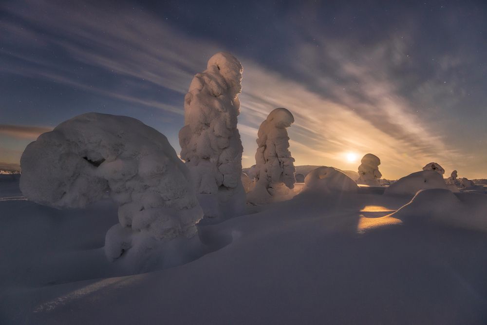 Ночные стражи.