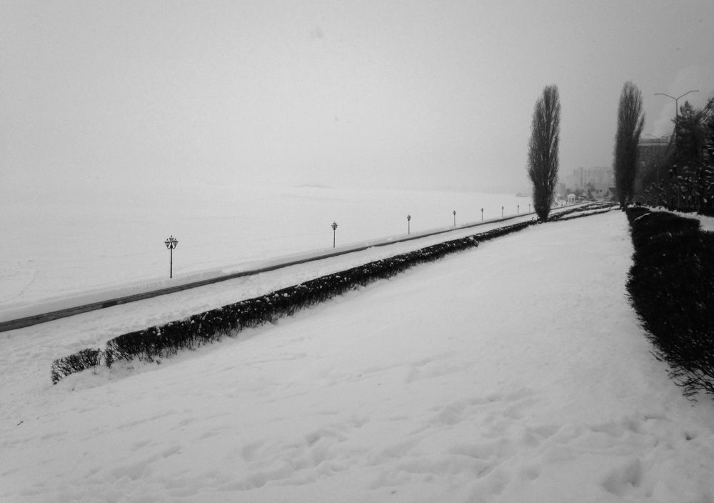 Photograph by Столярова Ольга