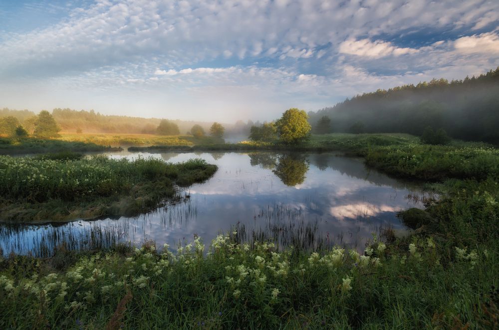 Заводь на Нерли.