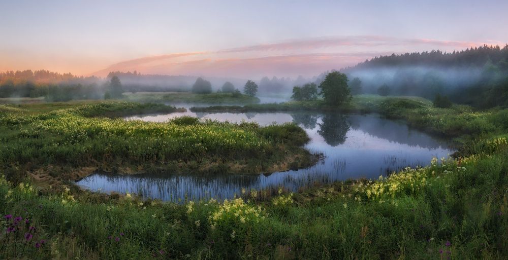 Летнее утро.