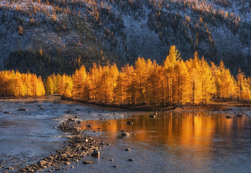 Река с золотым отливом.