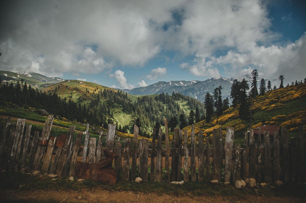 Photograph by Giorgi Jabua