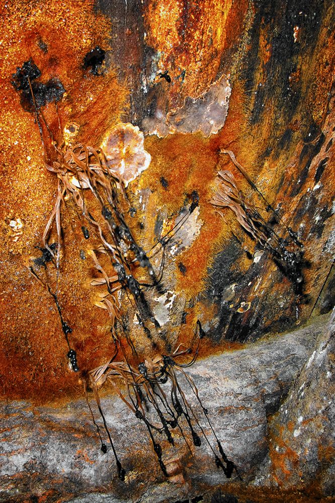 Mushrooms macro, in Bosnian pyramid