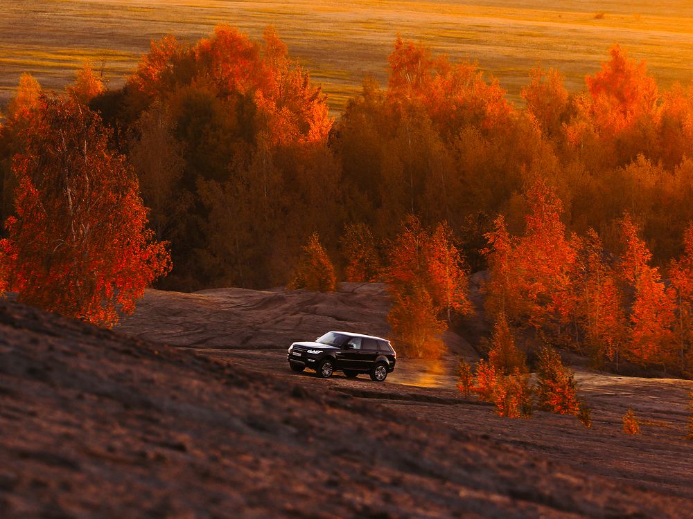 Покоряя золотые вершины