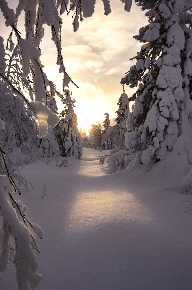 Photograph by Иван