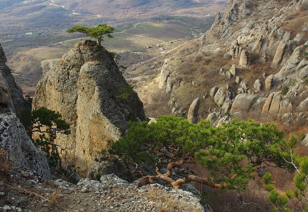 С вершины Демерджи.