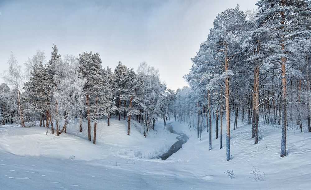 Зимний день