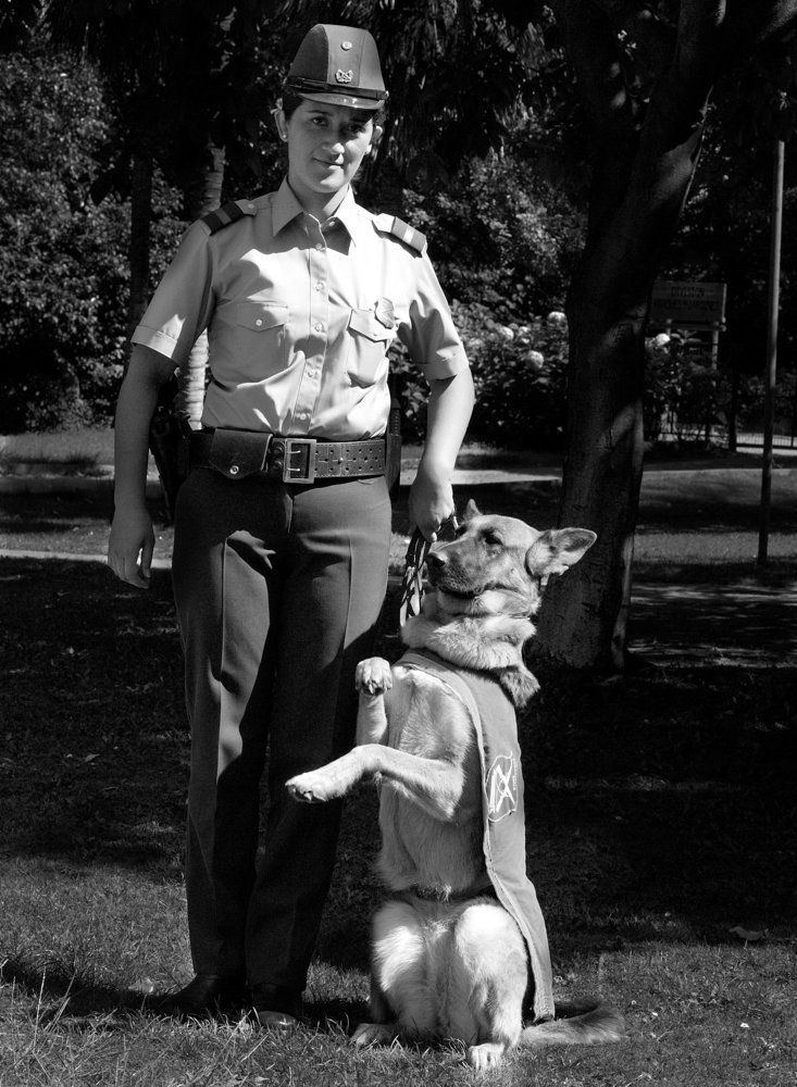 На службе с другом