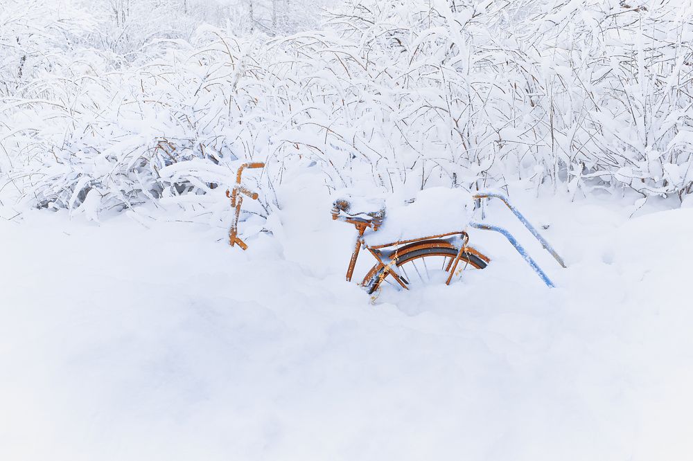 forgotten until spring