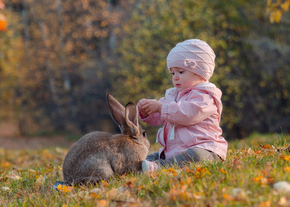 Girl with rabbit