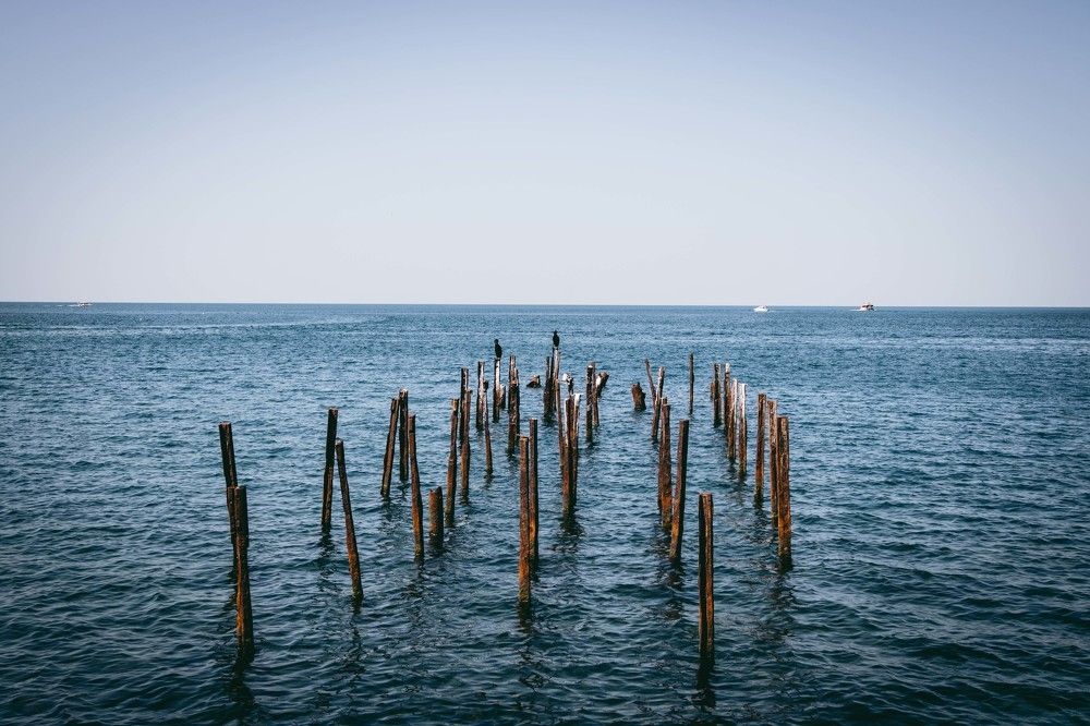 Photograph by Александра Данилюк