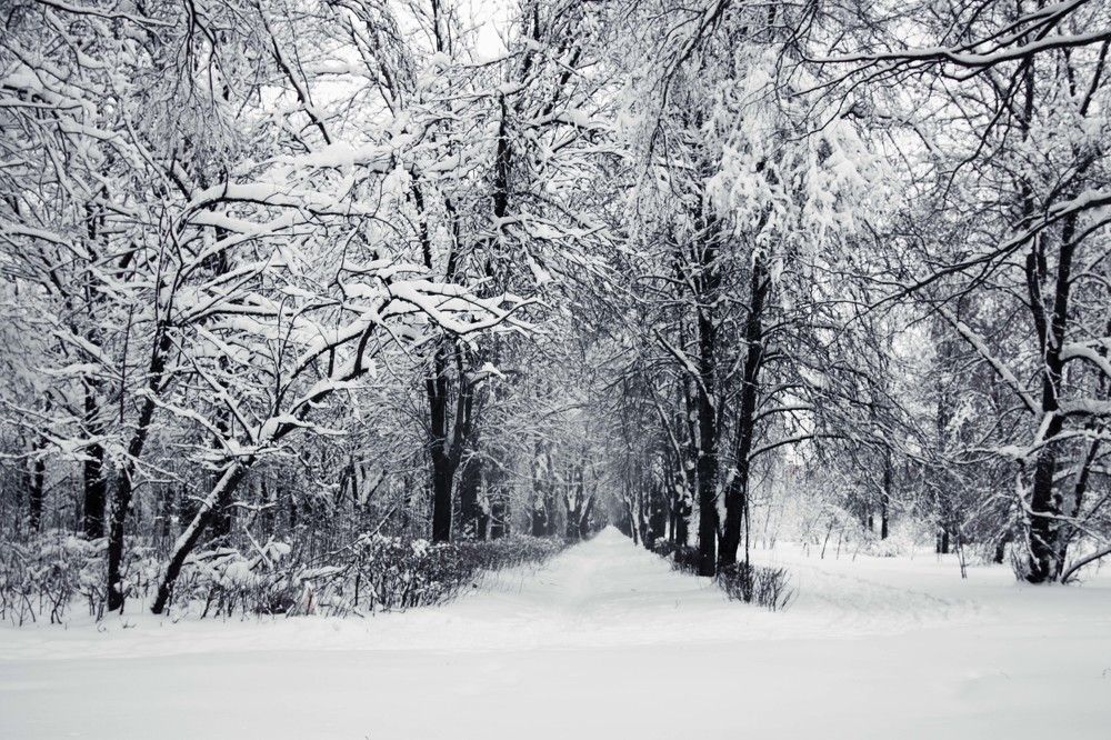 Photograph by Александра Данилюк