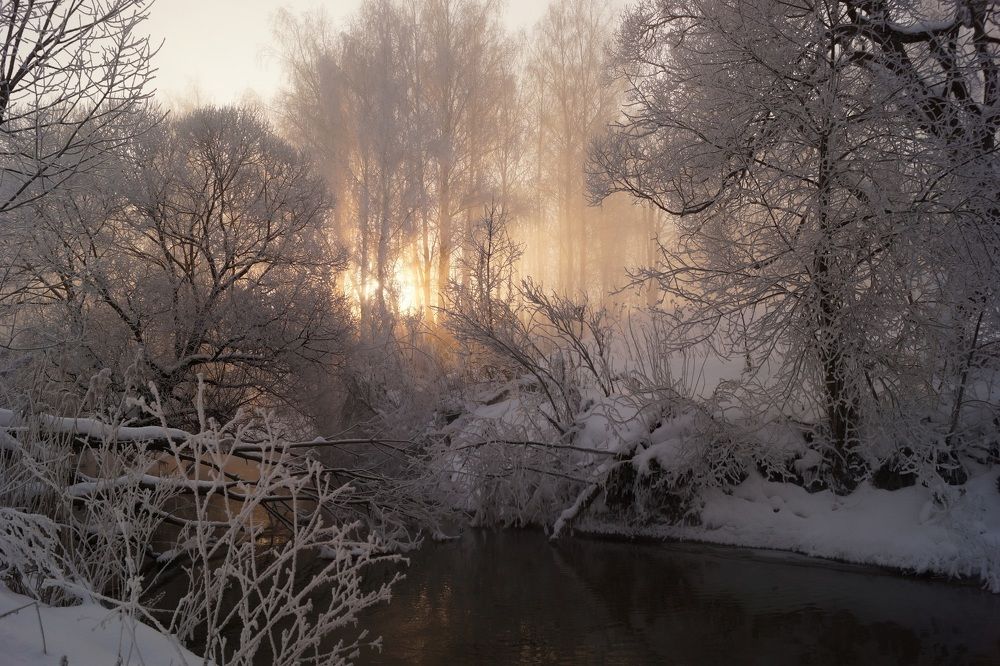 утро на реке Деготня
