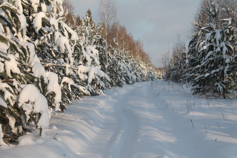 Зимний шлях