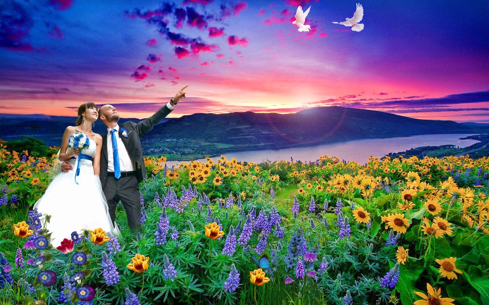 Мирное небо Донбассу!