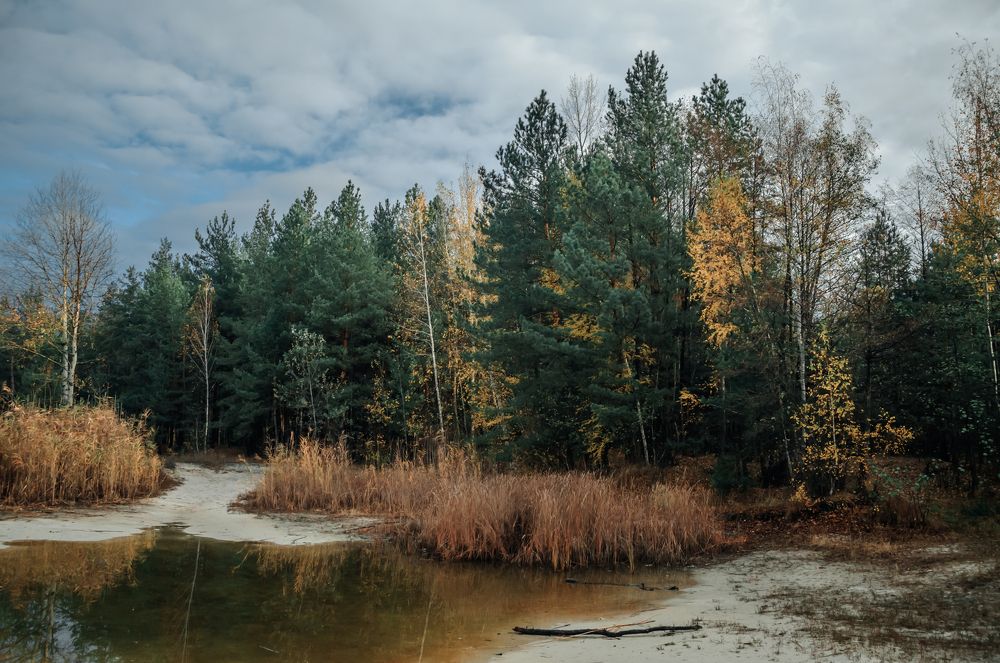 Лесное озеро.