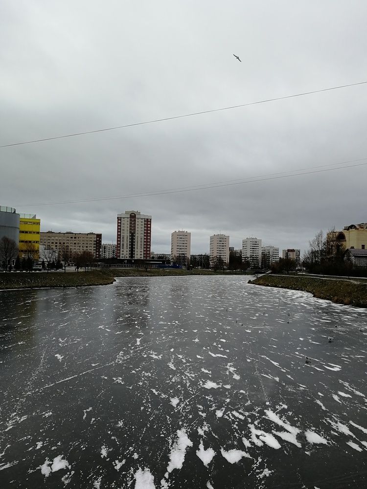 Photograph by Елена